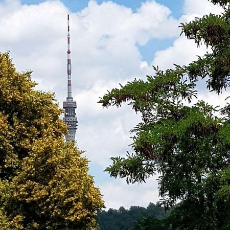 Ferienwohnung Elbhangblick - Fur 2 Personen Dresden Bagian luar foto